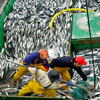 改革终于结束了欧洲渔业的掠夺吗？