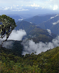 秘鲁的马努国家公园