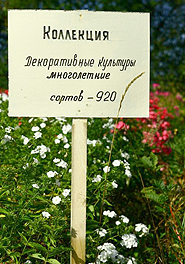 N.I.瓦维洛夫研究所植物产业